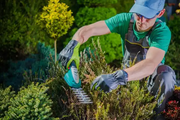 landscaping services South Sioux City